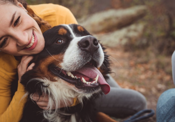 Featured pet insurance for dogs
