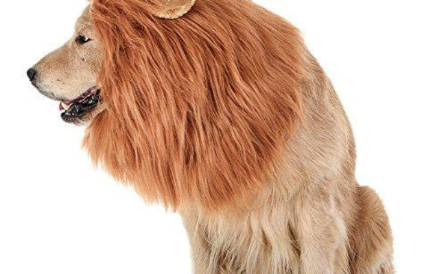 Lion mane Dog Costumes for halloween