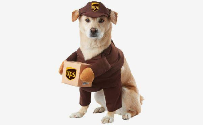 ups Dog Costumes for halloween