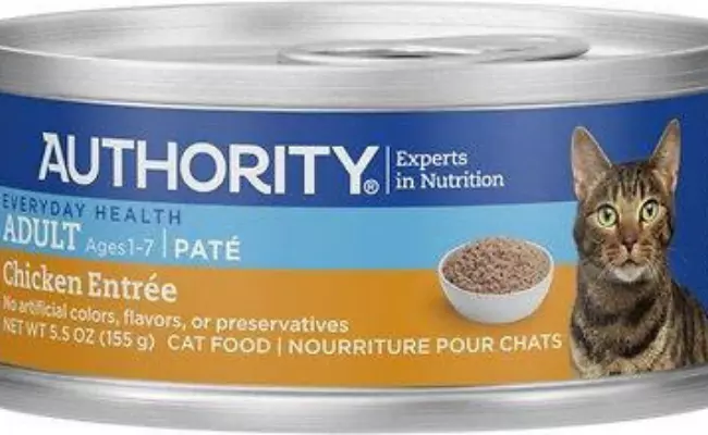 Authority best wet cat food