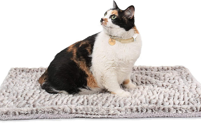Warming Cat Beds Gifts for cat Lovers