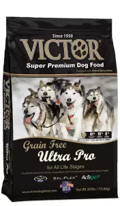 Victor high protein dog food
