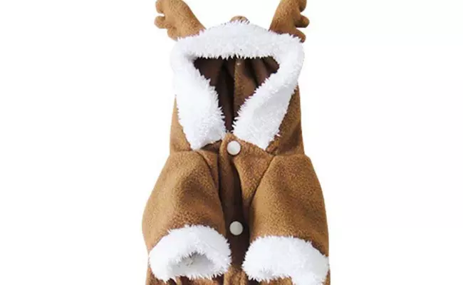CozyCabin Christmas Elk Dog Costume