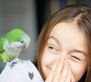 Best pet birds for beginners